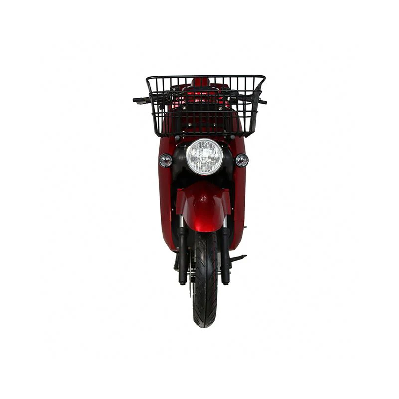 2000 watt electric scooters case for delivery