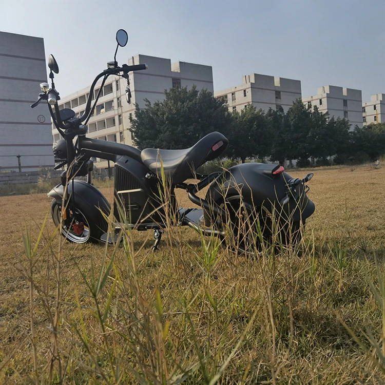 Электрический мотоцикл Citycoco Elektrorolle с педалями, со склада в ЕС, M8, оптовая цена для продажи, COC EEC 2000W 30AH 60V