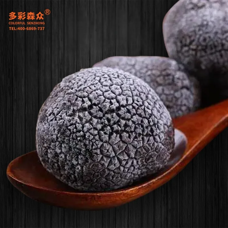 frozen black truffle mushrooms edible fungus wild truffle