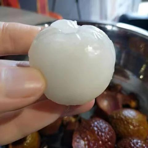 Supply high quality fresh lychee fruit litchi