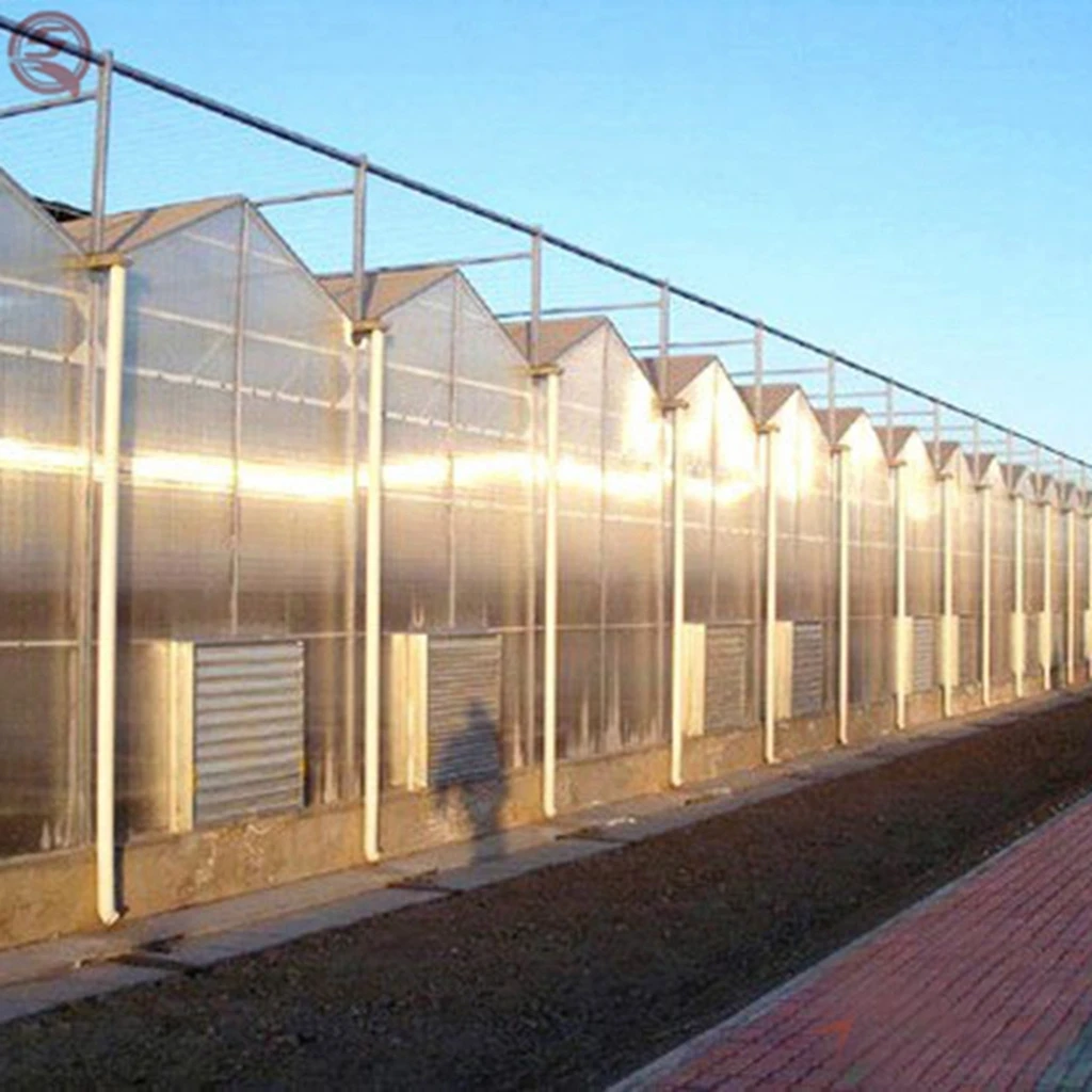 China manufacturer large agricultural garden greenhouses beautiful appearance polycarbonate sheets greenhouse