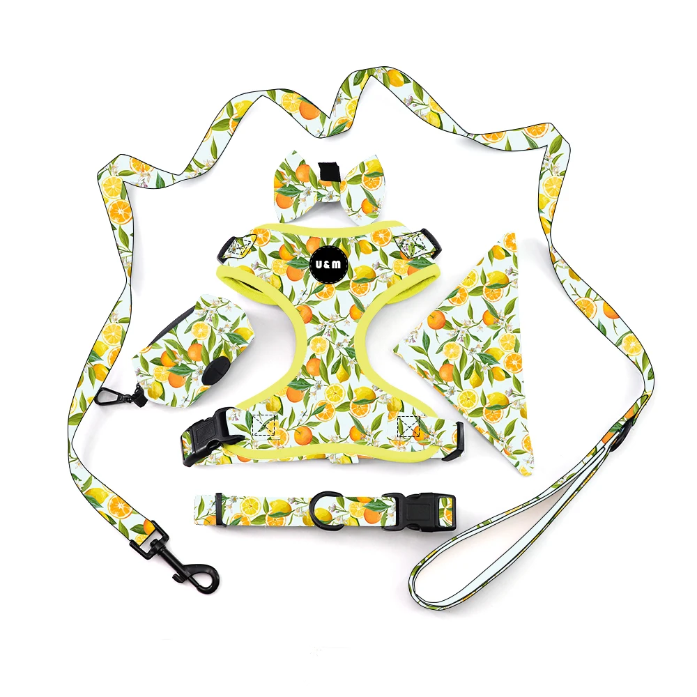 High Quality Adjustable Designer Soft Comfortable Collar Leash Neoprene Pet Dog Harness Set