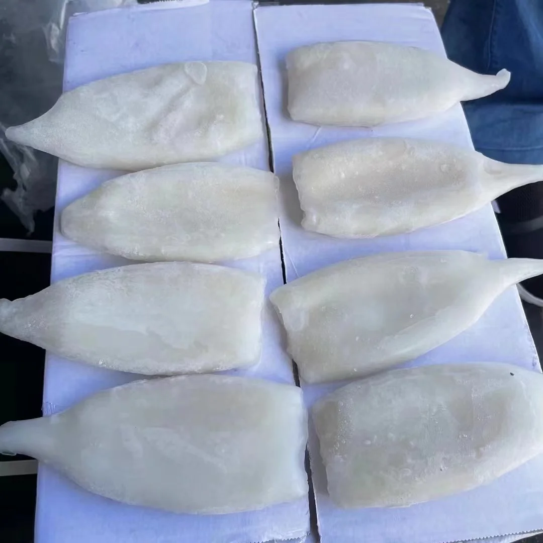 Замороженный кальмар