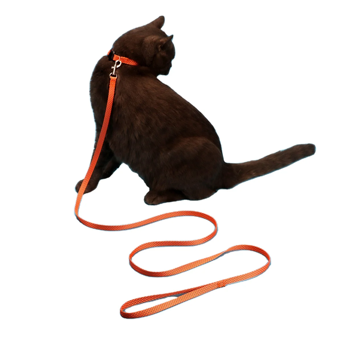 Nylon Night Light Safe USB Rechargeable LED Dog and Cat Collar Battery Pet Dog Leash and Collar with LED Flashlight Glow