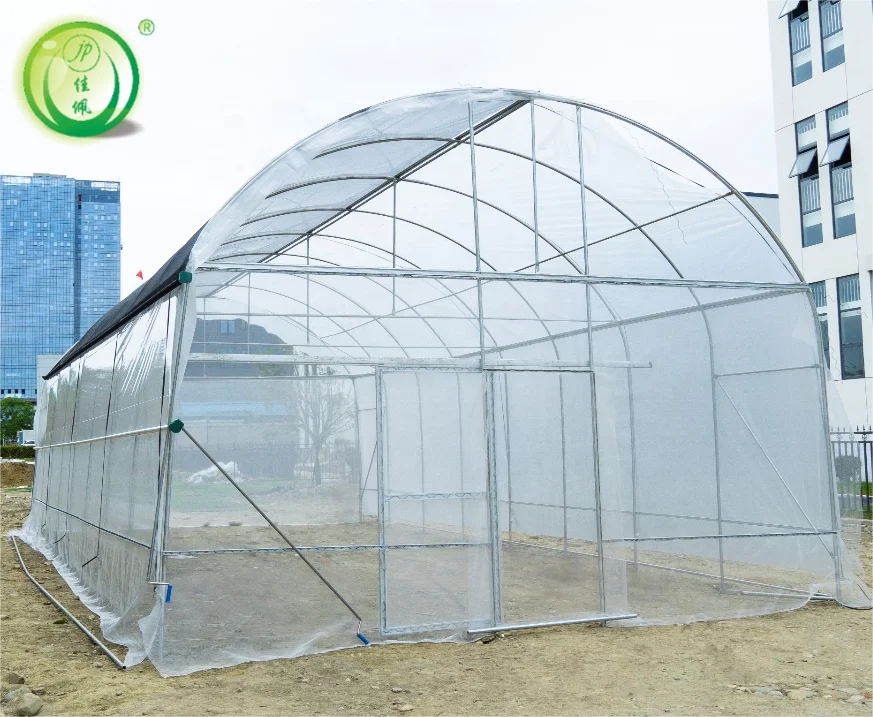 Single-span High Tunnel 6m Wide by 12m Long Small Greenhouse