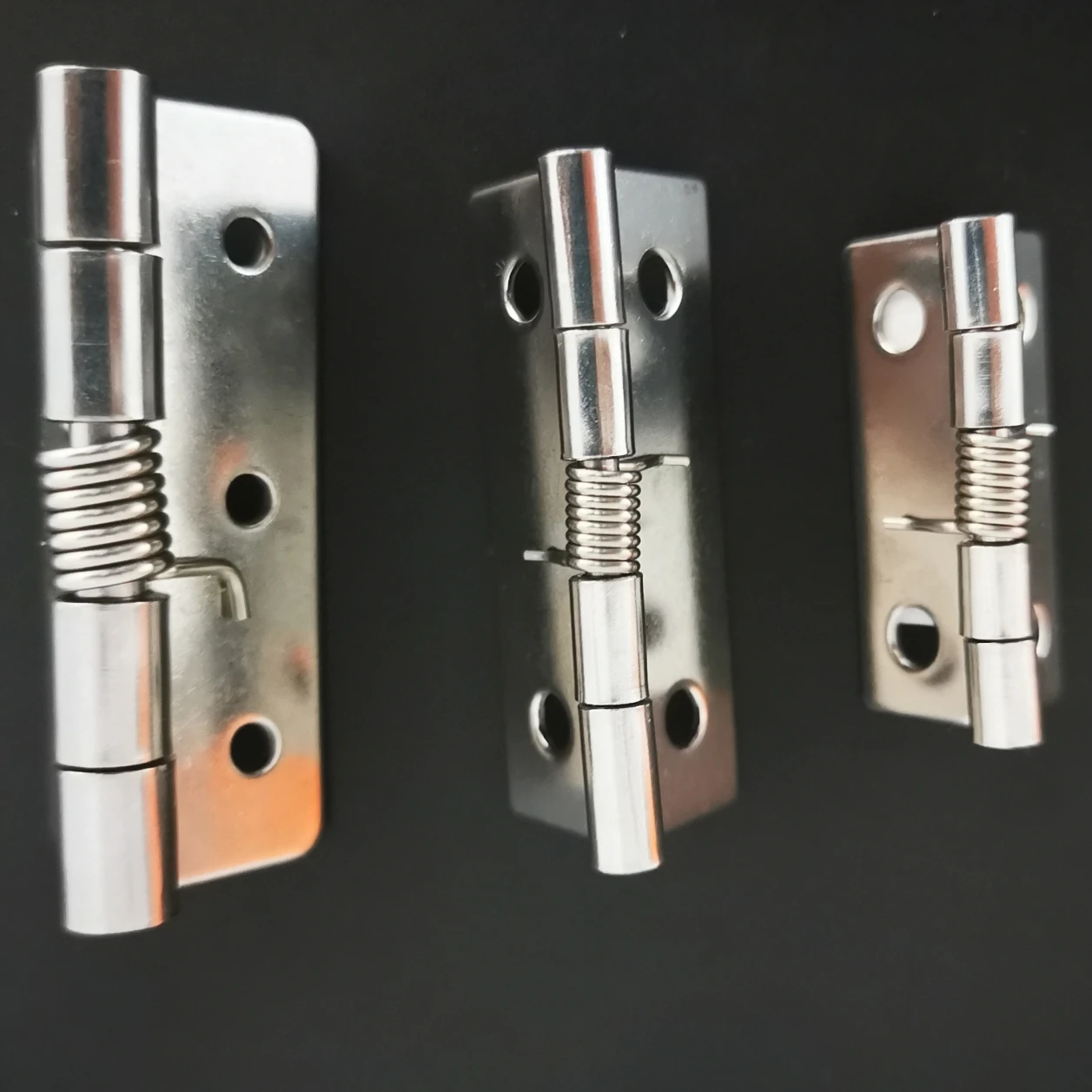 
Stainless steel Spring hinges 