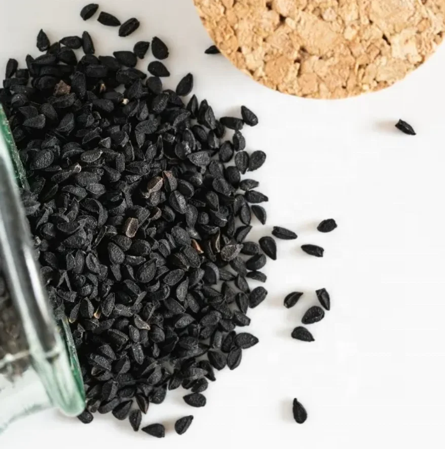 OEM Black Seed Oil Softgel Capsules Premium Cold Pressed Nigella Sativa Producing Pure Black Cumin Seed Oil with Vitamin E