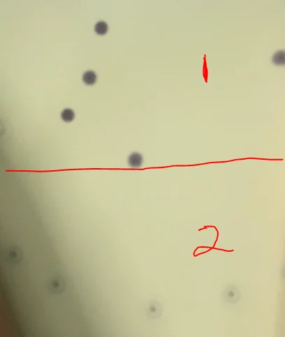 VCSEL pumped Picosecond laser module Laserconn Beijing