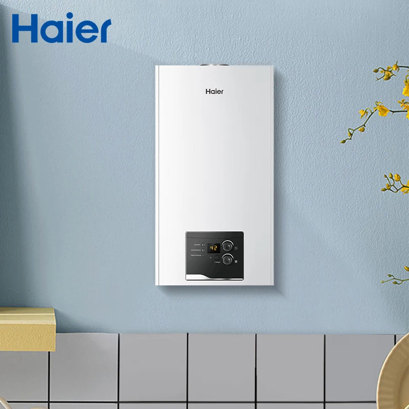 20kw to 32kw Wall Hung Household Condensing Gas Boiler Natural Fired for Outdoor Heating and Hot Water Low Price