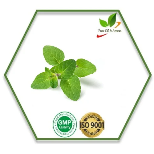 Wholesale high quality aromatic 100% pure Melissa Leaf essential oil