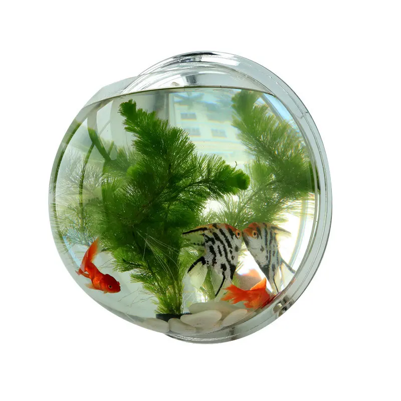 Luxury Aquarium Pot Plant Wall Mounted Hanging Aquarium Transparent Acrylic Fish Bowl Fish Tank Large aquarium wall hanging