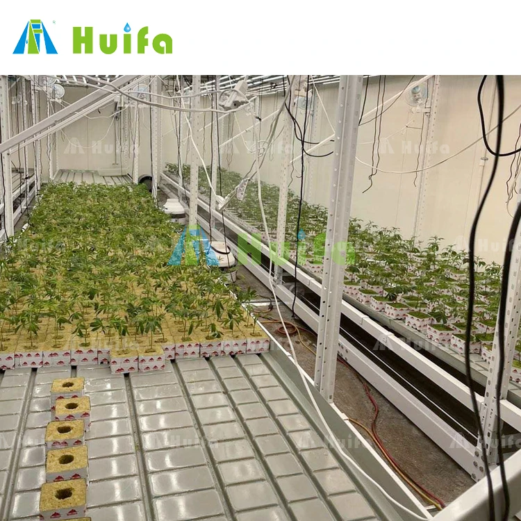 Vertical Multi Layers Level System Greenhouse Aluminum Seedbed Frame And Plastic Abs Food Grade Tray Benches