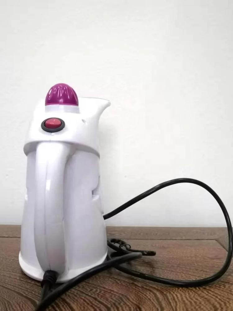 
800W multifunctional handheld garment steamer steam brush for clothes for travel 