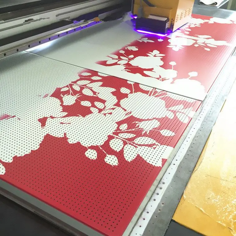 Colorful Decorative Perforated Sheet Metal Doors Panels