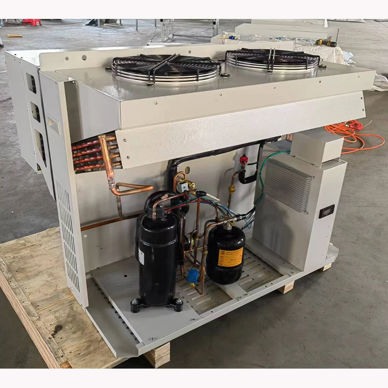 condensing unit for cold room roof mounted DC inverter monoblock pv module