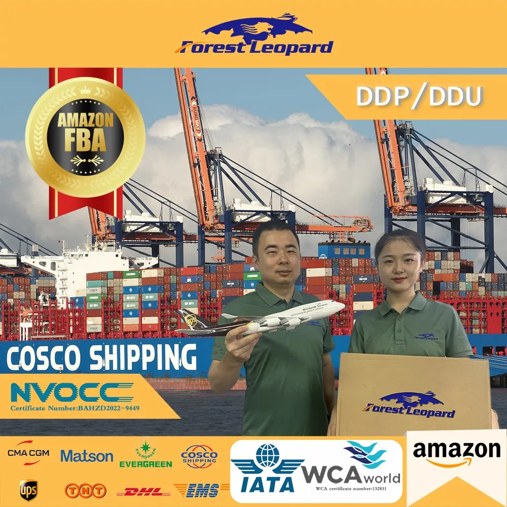 Sea Freight Forwarder From China To USA UK Australia United Kingdom Europe America DDP FBA  Shipping