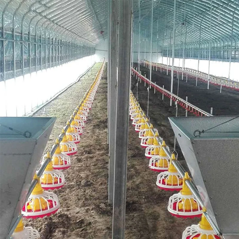Advanced Design Complete Automatic Broiler farm Chicken Poultry Farming Equipment