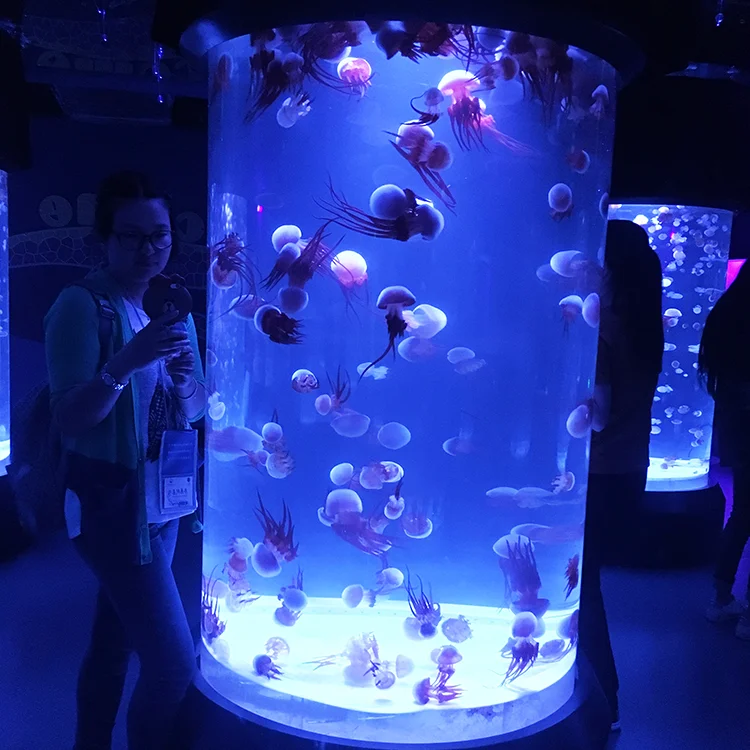 PMMA Special Acrylic Jellyfish Aquarium, Easy Clean Modern Aquarium Accessories Fish Tank Acrylic@