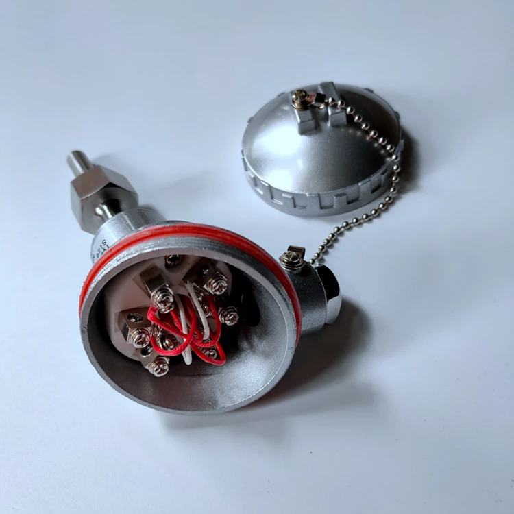 Pt100 sensor with fixed female thread