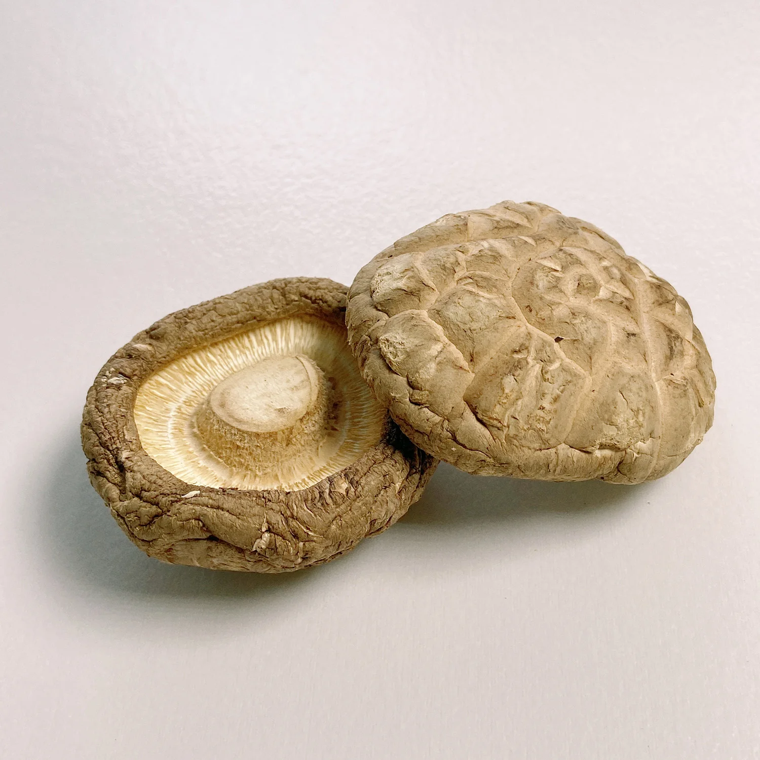 Best Price Flower Premium Dried Hua Shitake Mushroom Packing