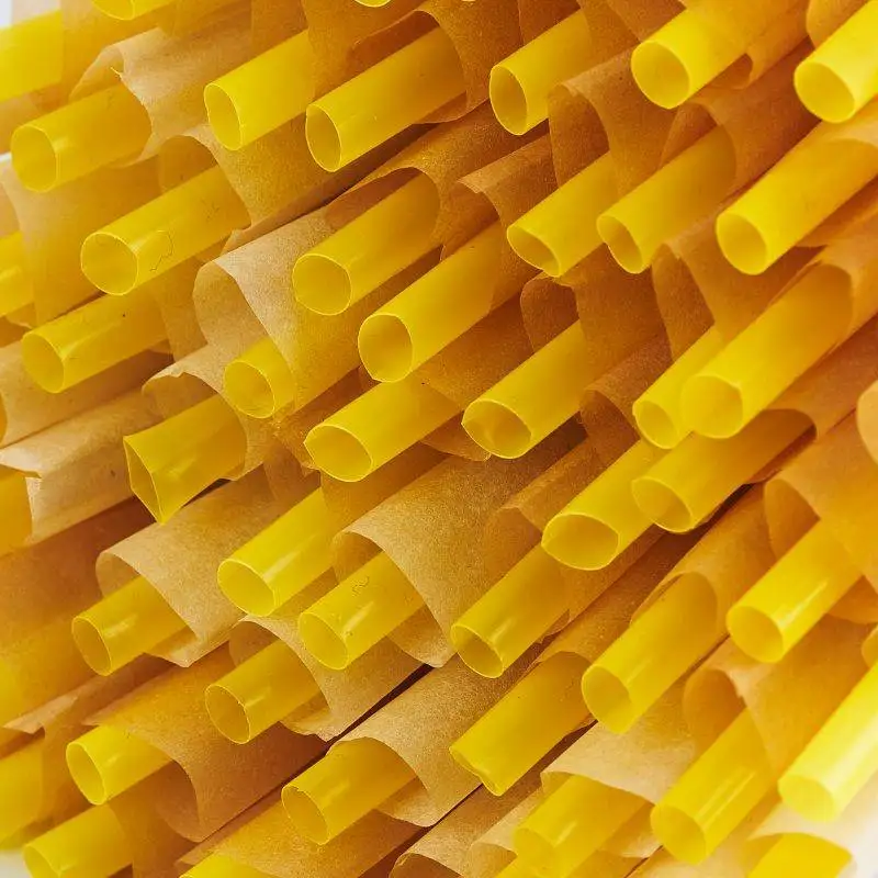 Hemp Rolling Paper Slow Burning 1000 Cones Per Box 109Mm Pre Rolled Cone Green Rolling Paper For Smoking