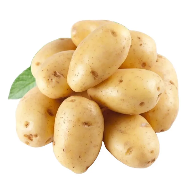 Popular 100% Organic Fresh Potato Export Wholesale Price From China