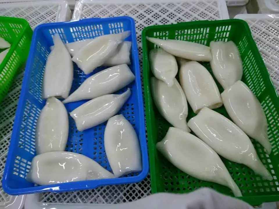 Замороженный кальмар IQF тубус для кальмаров todarodes pacificus морепродукты