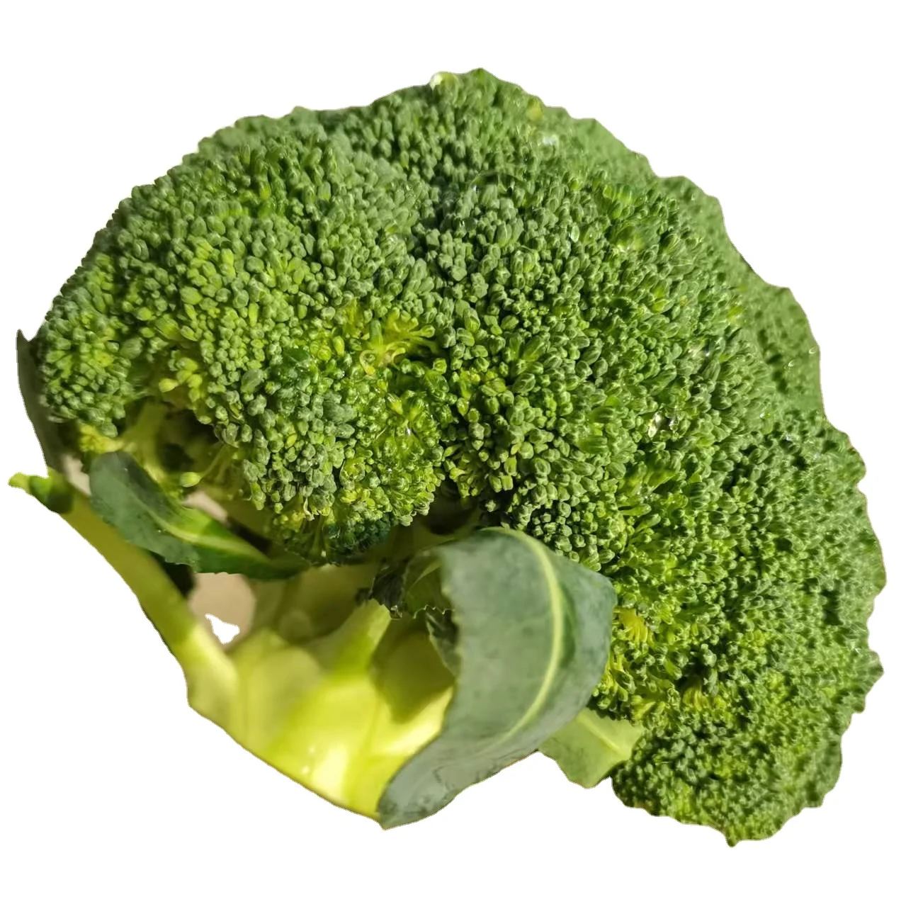 2021 высокое качество свежий брокколи заводская цена