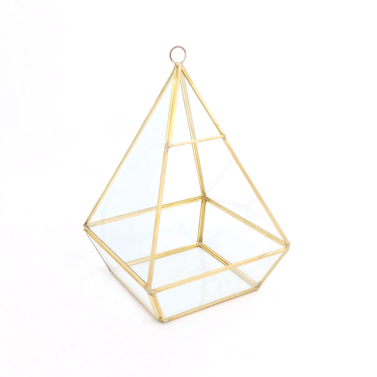 Hanging vertebral gold metal geometric glass terrarium air plants holder tabletop succulents planter box