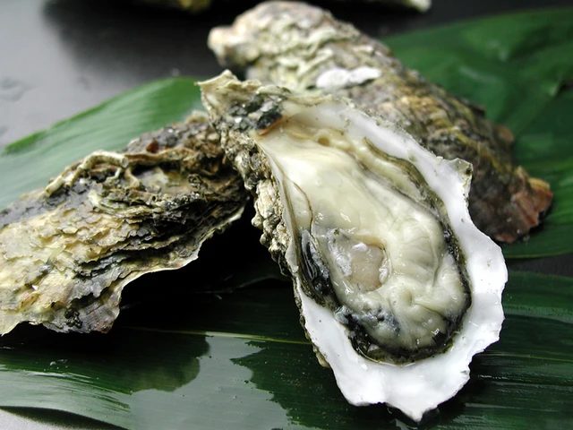 Замороженные морепродукты Устрица разумная