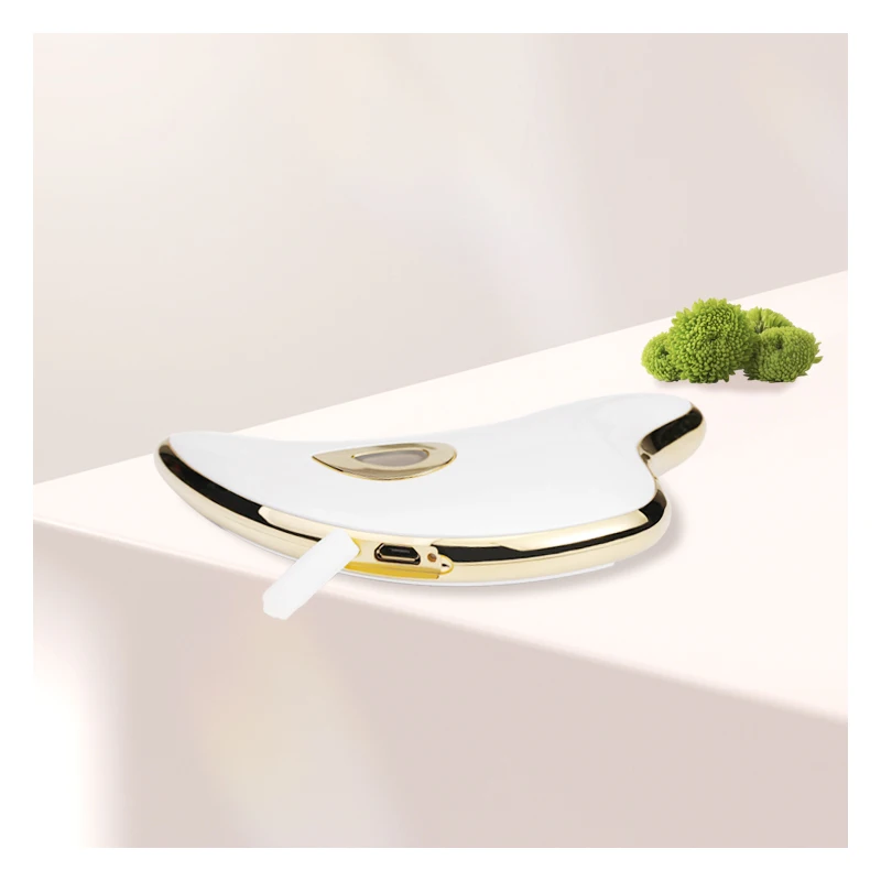 Hot Selling  Amazon Shenzhen Beauty device Facial Lifting TCM Bo Jn Massage Electric Aqua Facial anti aging massager