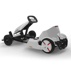 Ninebot Go Karts Electric Go Karts Racing Go Karts For Adults With Lithium Battery 60V 310WH 700W Steel Frame For Sale