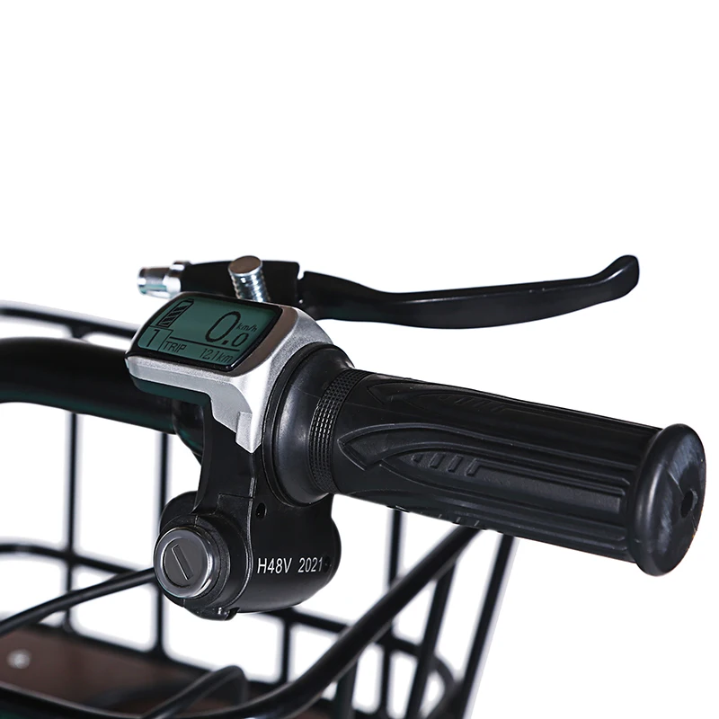 Electric fat tire bicycle 2022 electric bicycle 48V 15ah 750W battery electric city urban travel bicycle Fat Electric Bike