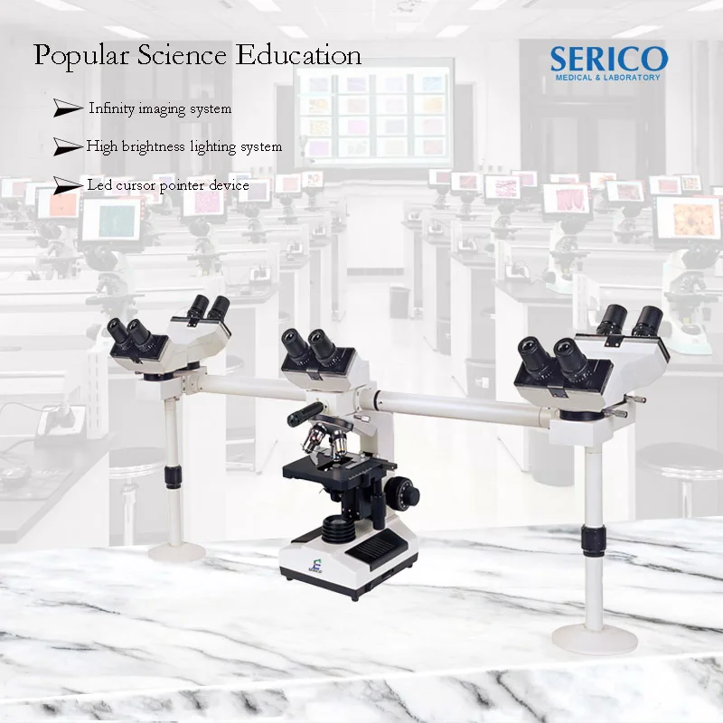 20211712 XSZ N 510 -8.jpg