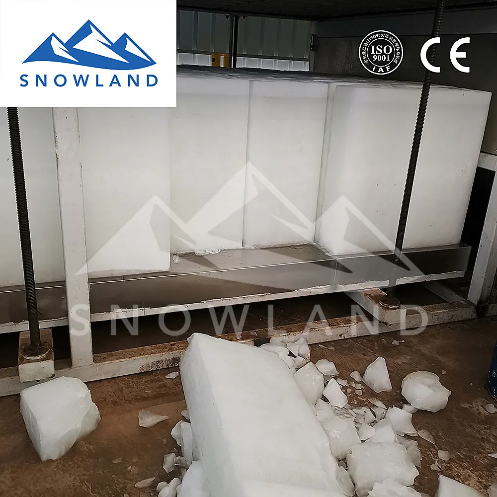 ice maker machine Malaysia with 3 ton  block ice, transportation/preservation of fruits and vegetables