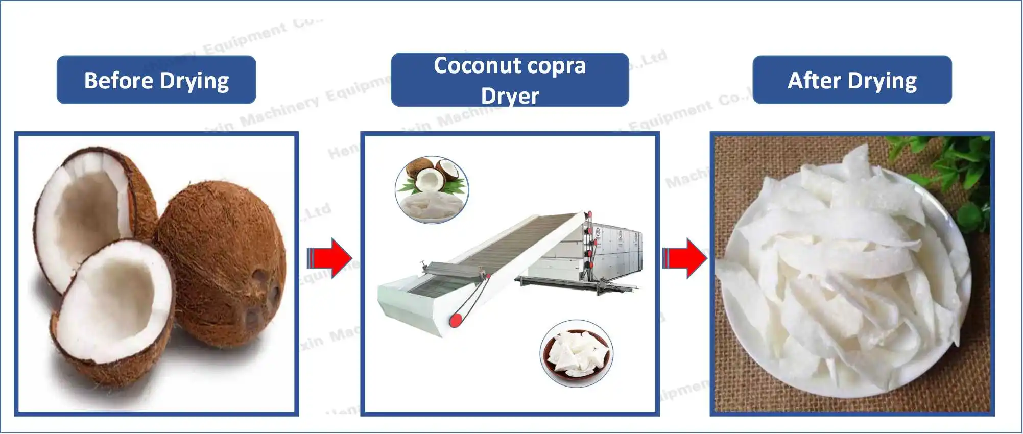 coconut drying machine 1.jpg