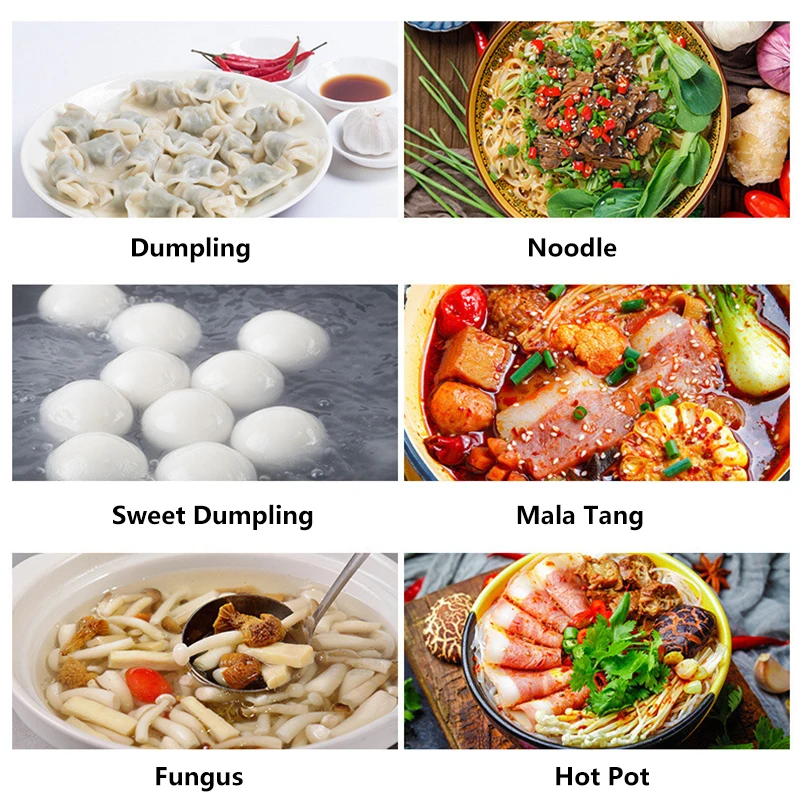 Gas Electric  Automatic Ramen Noodle Dumpling Pasta Cooker