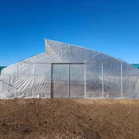 Lean-to Agriculture Greenhouse for tomato invernadero agricola