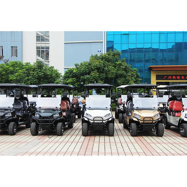 Electric off road Golf Cart Club Car with Lithium Battery Low Price 2 Seat New Energy Car for Sale 48v72v golf cart