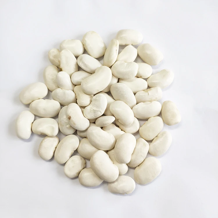 Wholesale Chinese 2021 crop origin in Yunnan Large white kidney beans