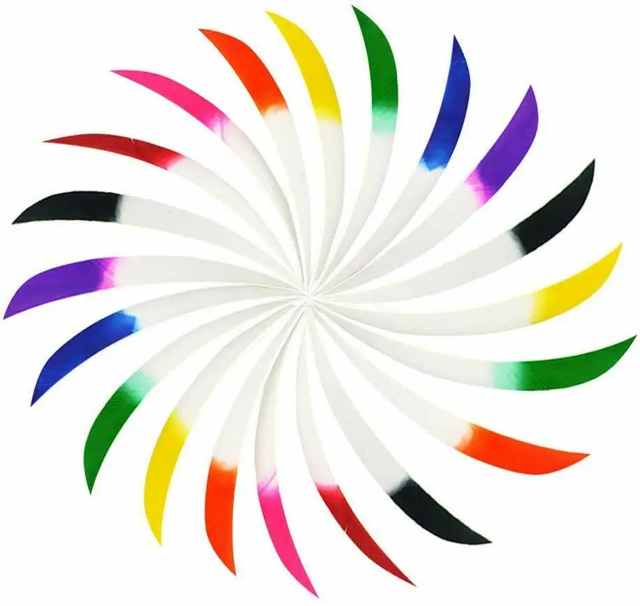 Fletching True Turkey Feather Customized  for How and Arrow Feather Wholesale Arrow Feather Archery Variety of Hunting