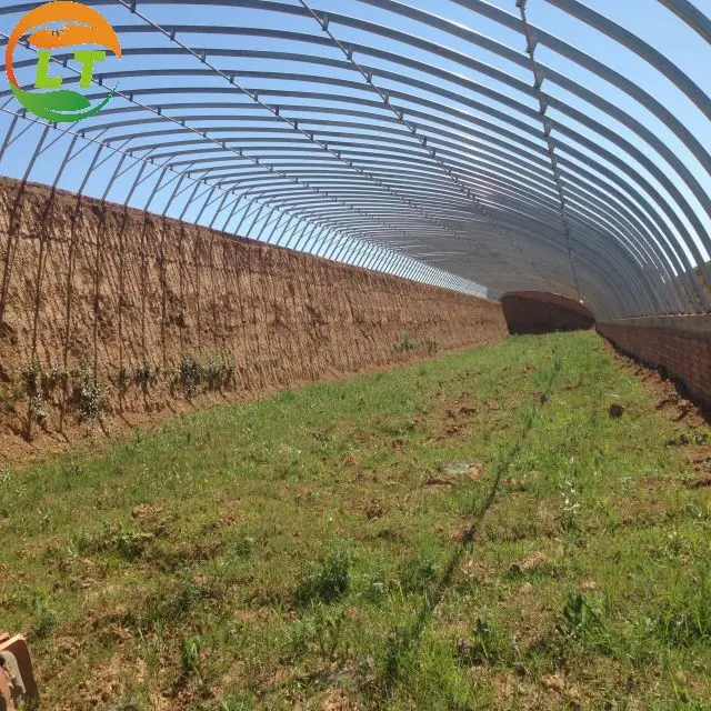 New patented  greenhouse hot dip galvanized  use heating equipment for any soil