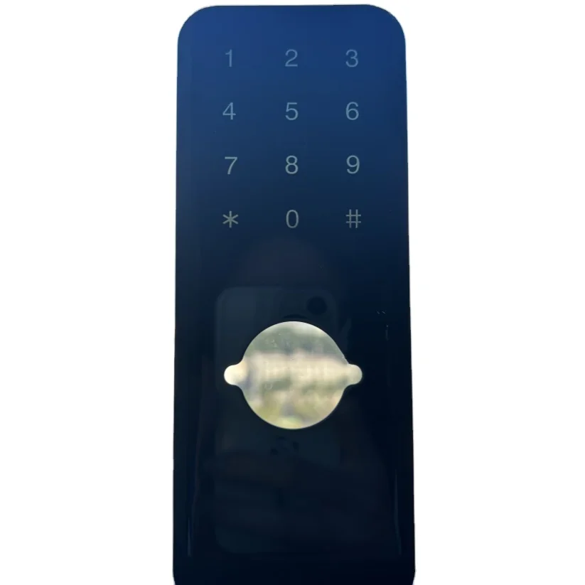 Customized Black Silkscreen Electronic Touch Screen Switch Face Recognition Combination Lock Glass Panel