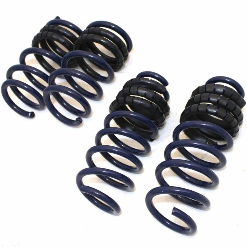 Guwo Suspension System Shock Absorber Spring Rear Coil Dual Rate Linear Lowering Set for Tesla Model