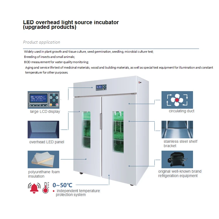 380 L Professional Lab Equipment CO2 Microbiological Incubator