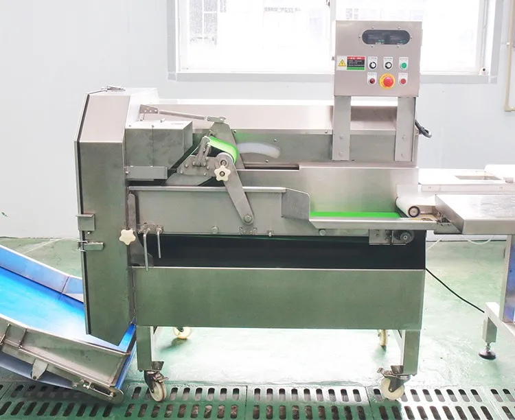 Automatic Vegetable & Fruit Cutting Washing Production Line, Salad Vegetable Processing Line