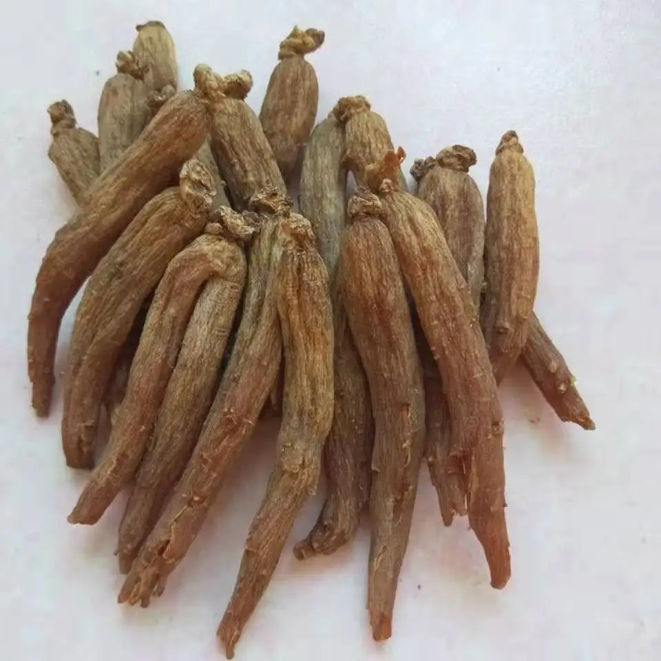 Origin Wholesale Price Buy Ginseng Korea Red Ginseng Root