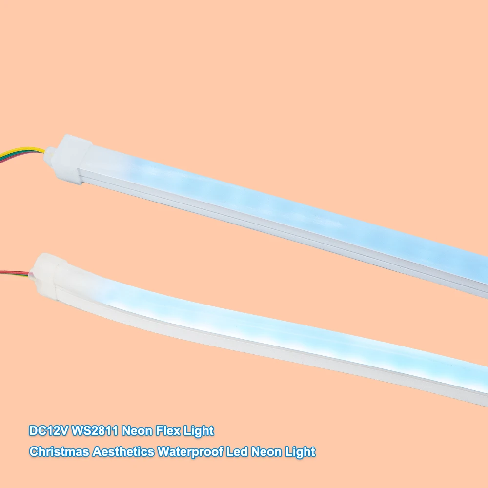 Factory Direct RGB LED Strip Light Neon Flex 24V Input Custom Size for Hotel & Bedroom Birthday Party  Decor