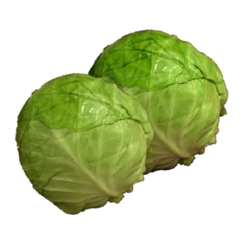 New Listing High Quality in Bulk Cabbage with HCCP Certification