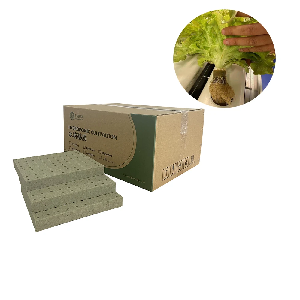 Hidroponic Foam Grow Cubes Starting Plant Substrate For Plants Seeds Vegetables